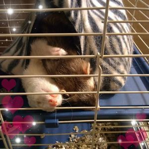 Meet your Posher, Kimberly